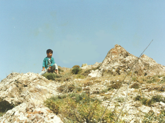    6 