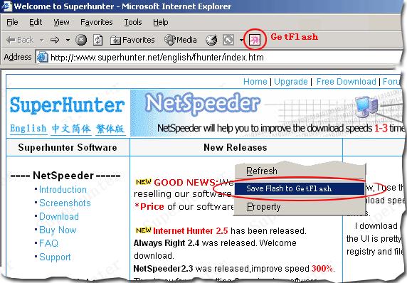 GetFlash v2.0.689